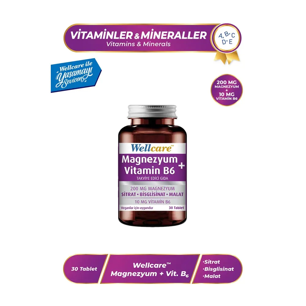 Wellcare Magnezyum ve Vitamin B6 30 Tablet