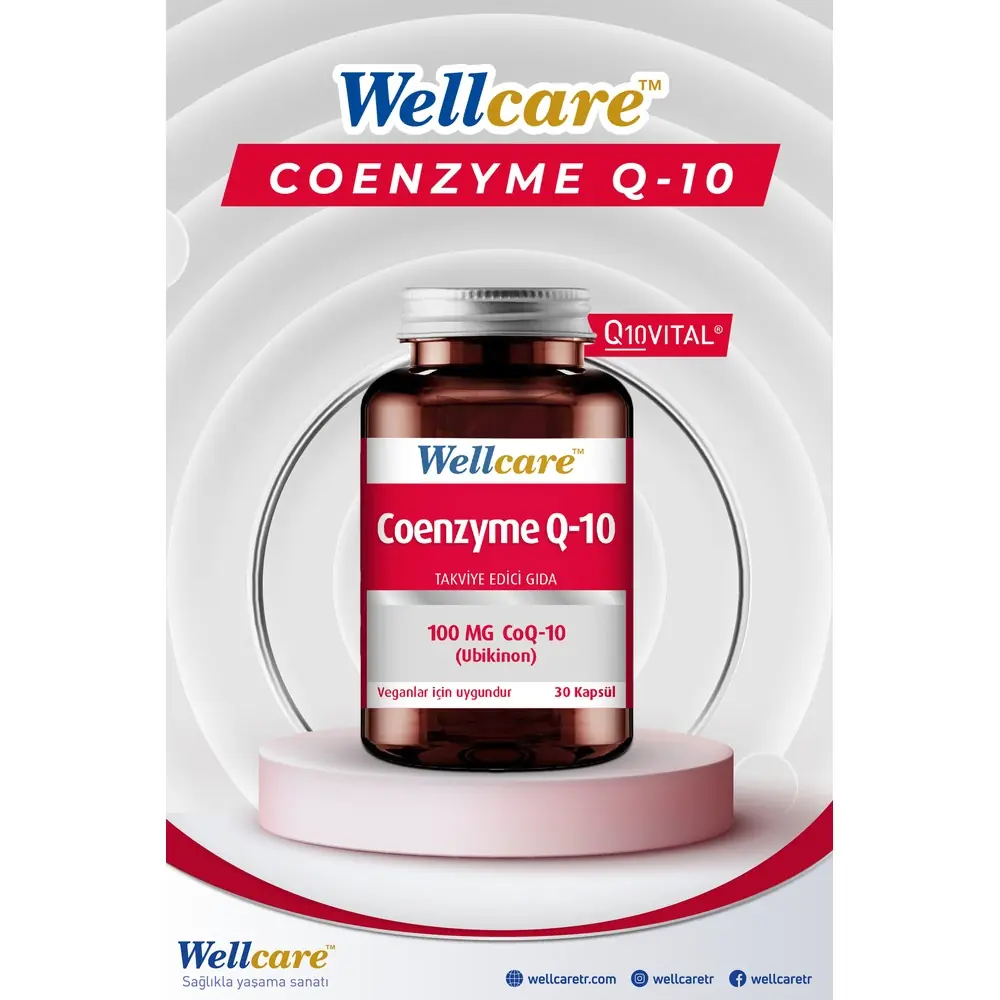 Wellcare Koenzim Q10 100 mg 30 Kapsül