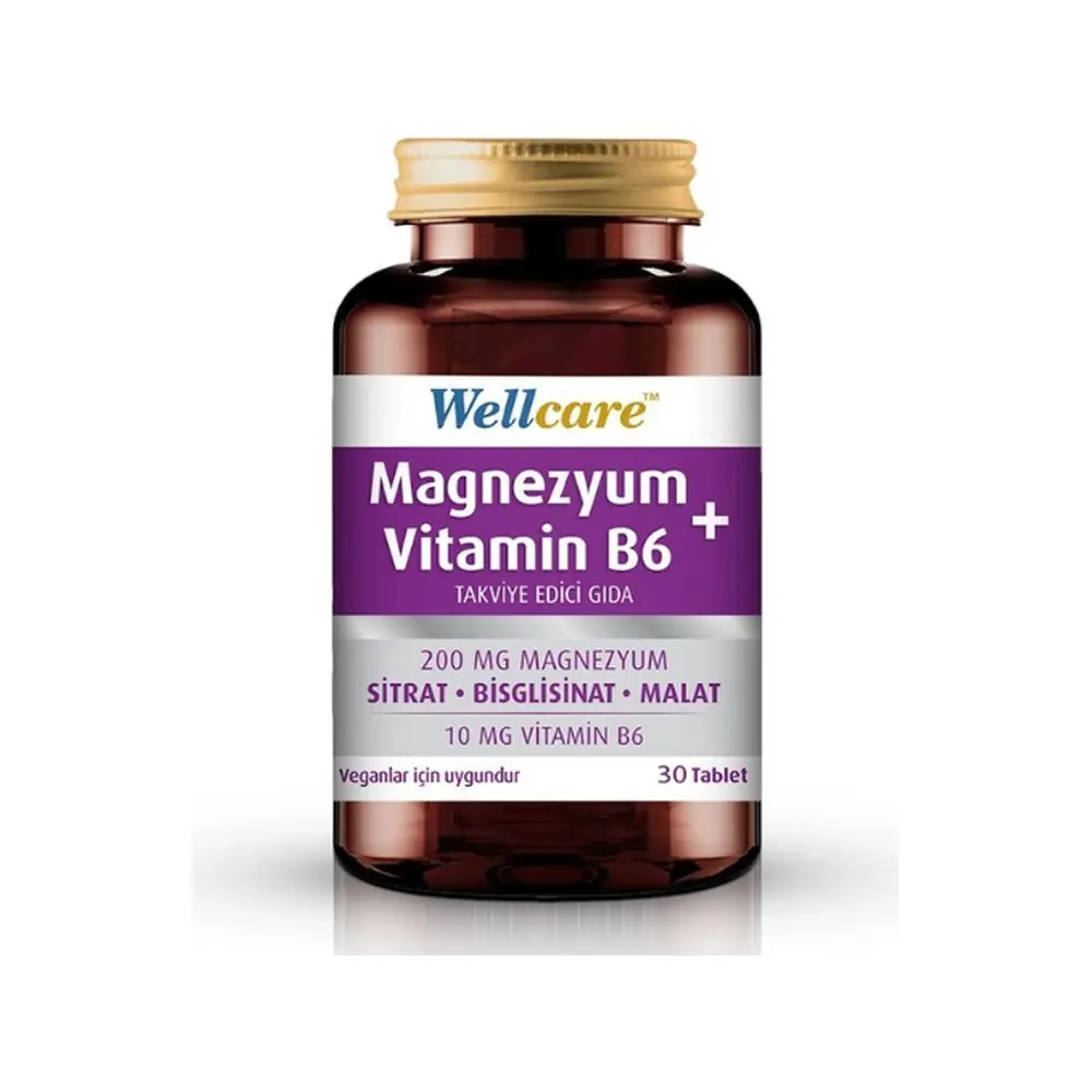 Wellcare Magnezyum ve Vitamin B6 30 Tablet