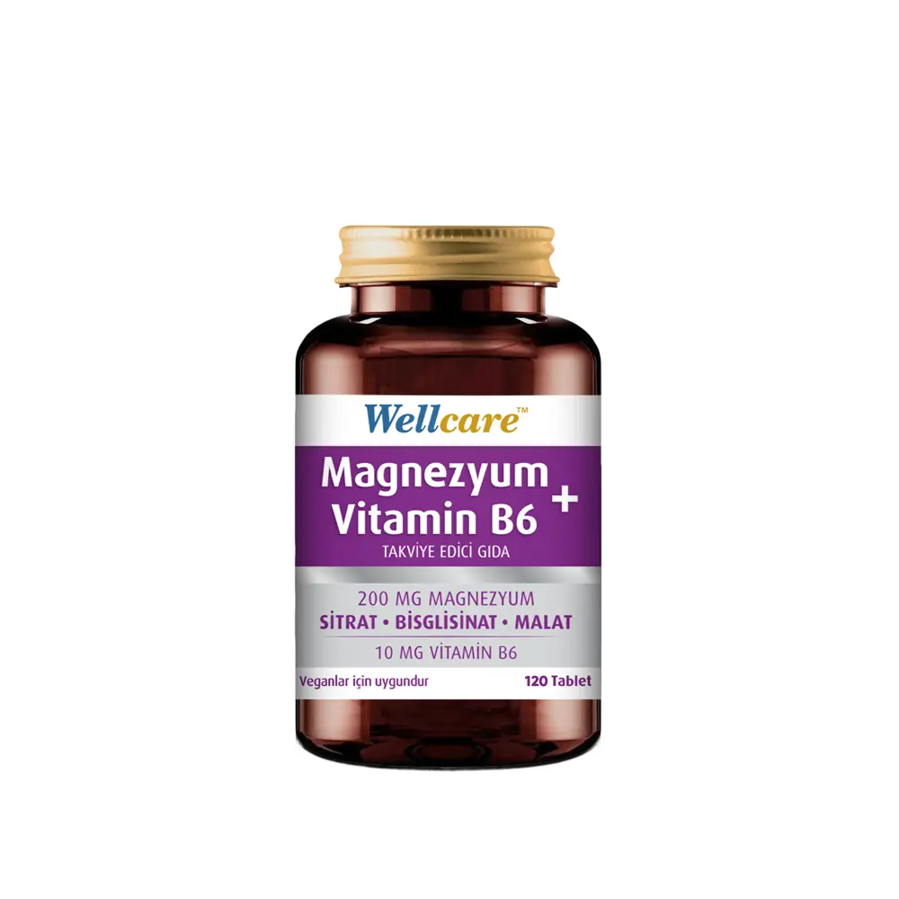 Wellcare Magnezyum ve Vitamin B6 120 Tablet